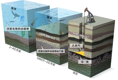 深海高壓下的海底沉積物 壓縮與生態的奇妙平衡