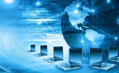 7個(gè)熱門(mén)專(zhuān)業(yè) 本科畢業(yè)即就業(yè)，職場(chǎng)“香餑餑”備受青睞