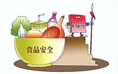 攤主因13元收入被罰3萬元引爭議，法院判決揭示市場治理與法律公正